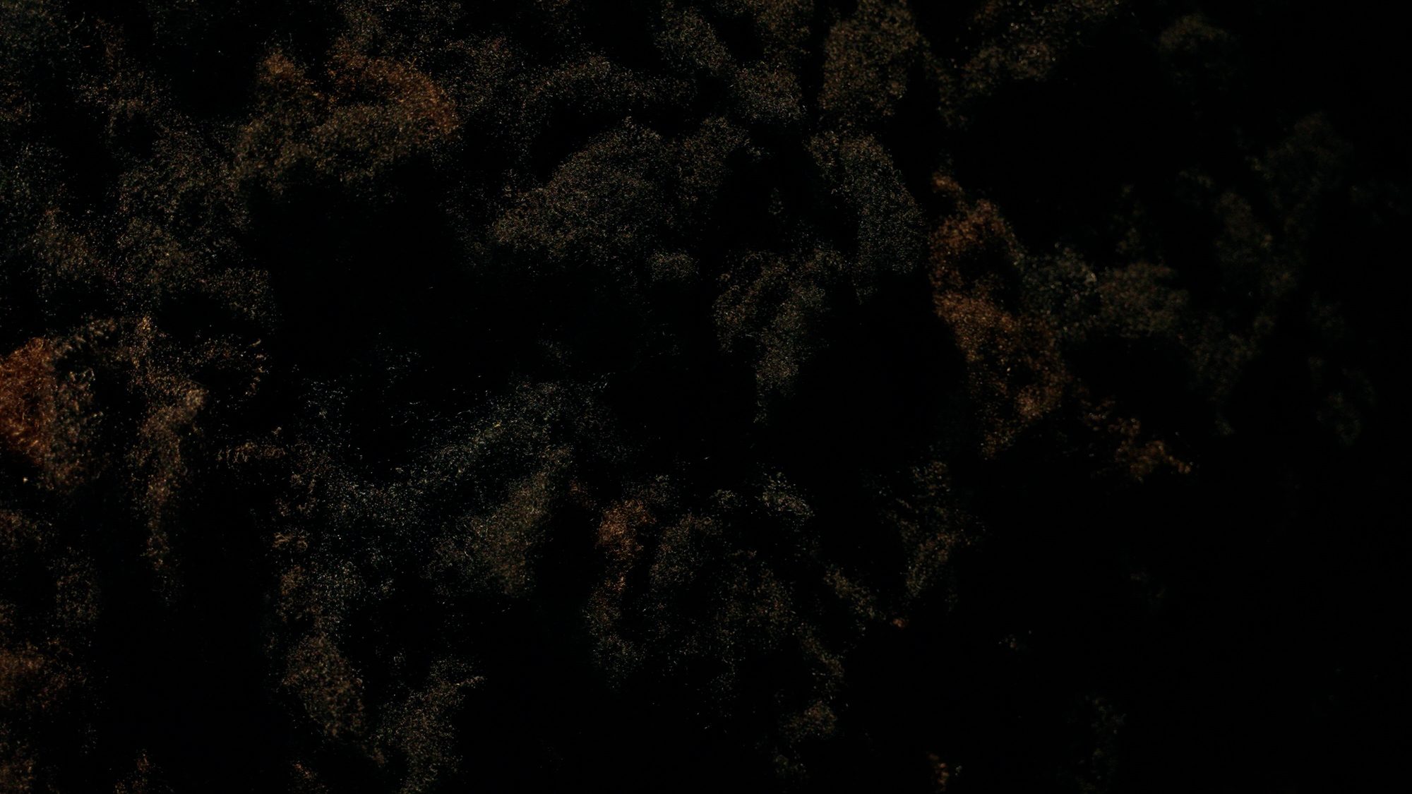 Jeannette Ehlers, the surface of the sphere in close-up