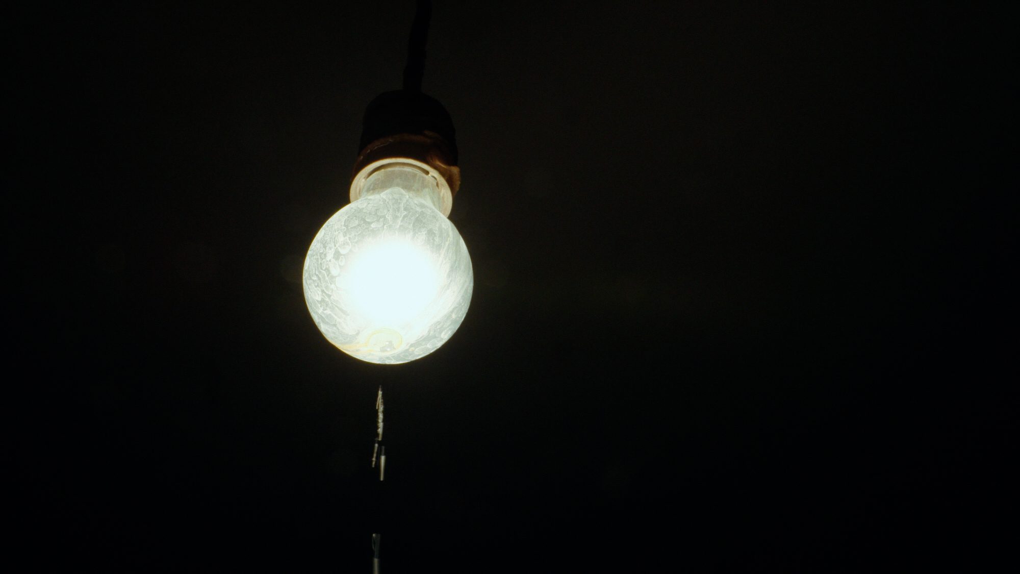 SIGNA, the single bulb in the dark