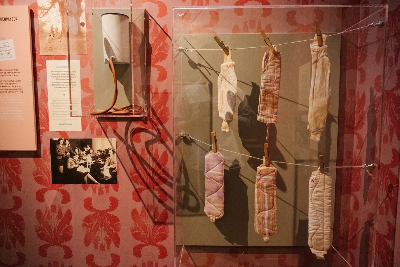 Kvindeliv, sausages hanging on a line in a vitrine against red wallpaper