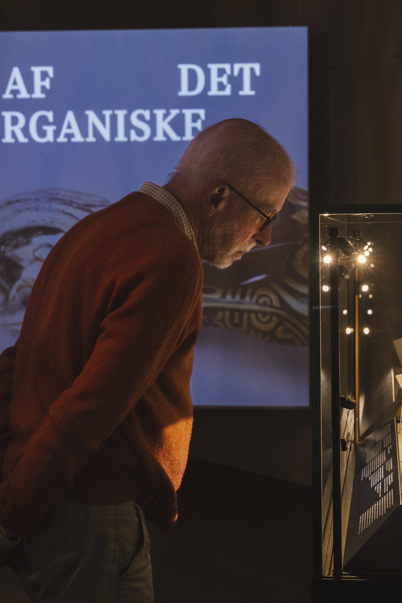 Makabre Mesterværker, visitor at the gold vitrine in the room Af det organiske