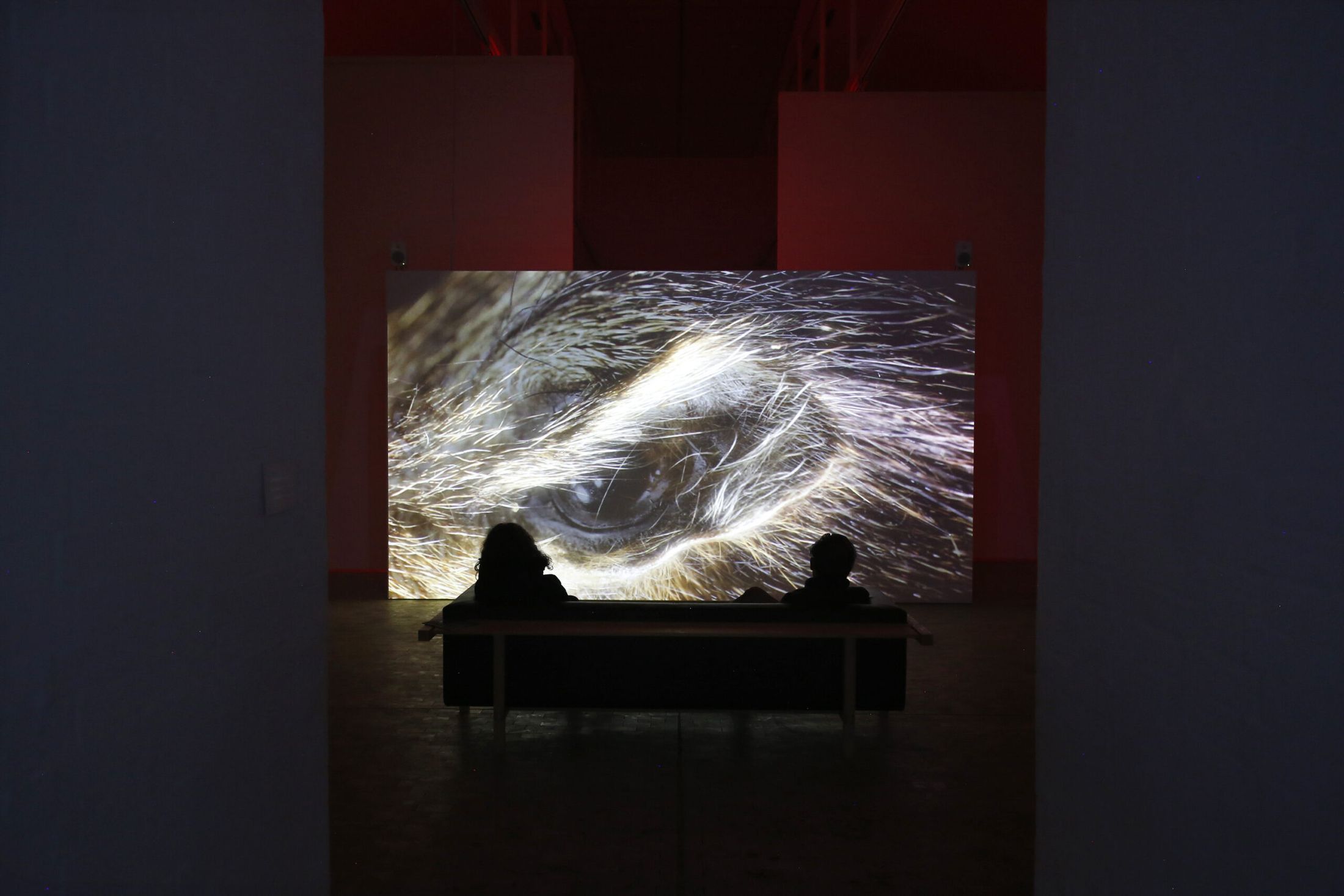 Jacob Kirkegaard: Mellem Rum, exhibition at Kunstmuseet i Tønder
